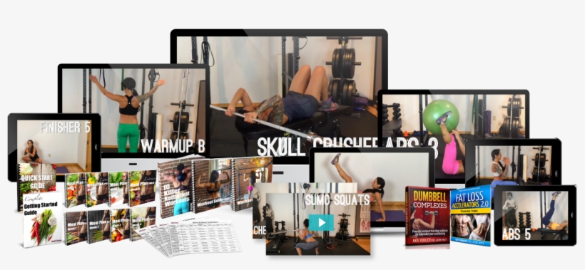 Lioness Program Bonuses ($201value) = $703 Total Value, transparent png #6800031