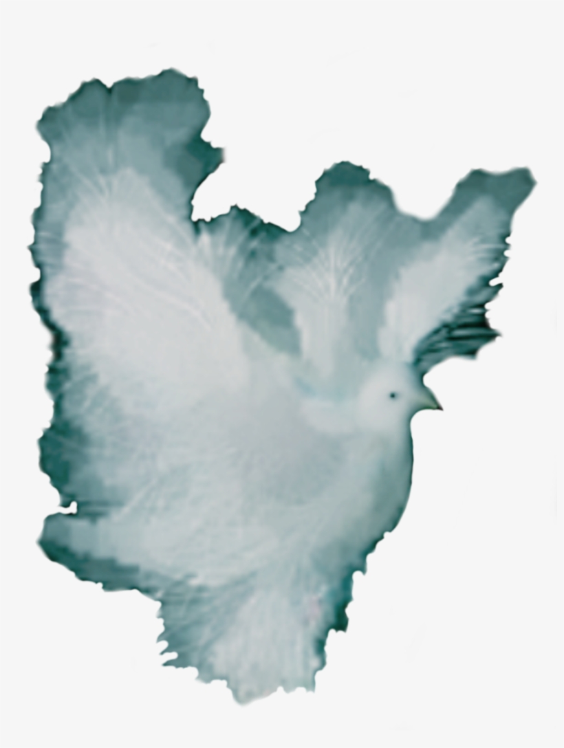 Big Image, transparent png #6809271