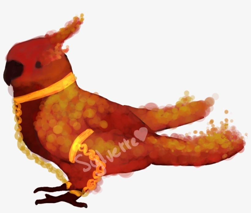 Od2kcm3, transparent png #6809934