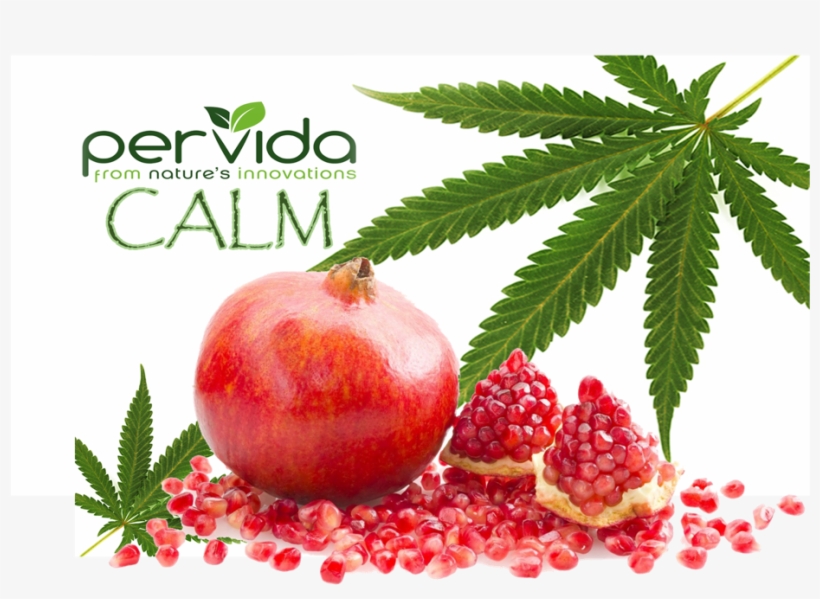 Pervida-calm, transparent png #6814310