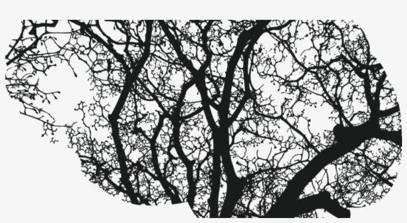 Brain Injury, transparent png #6815747