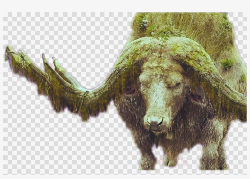 Kong Png, transparent png #6816089