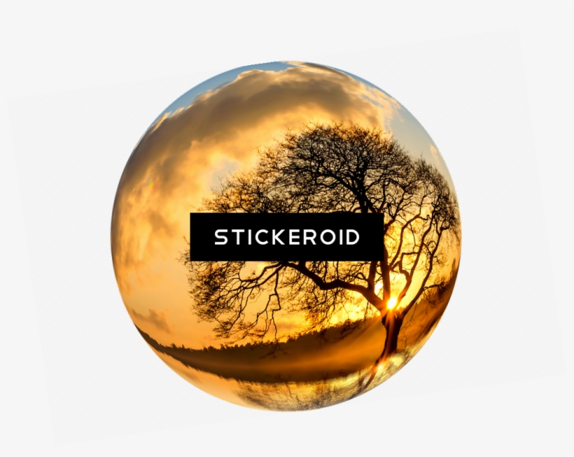 Earth Nature, transparent png #6816901