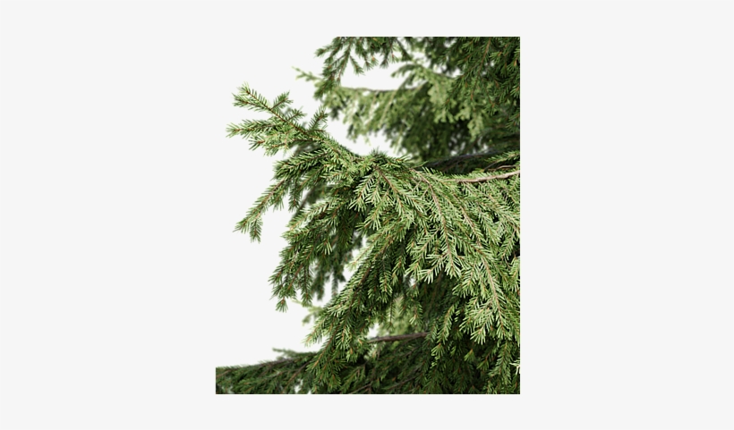 My Name Is Ján Morek And I Have Started An Interesting, transparent png #6817406