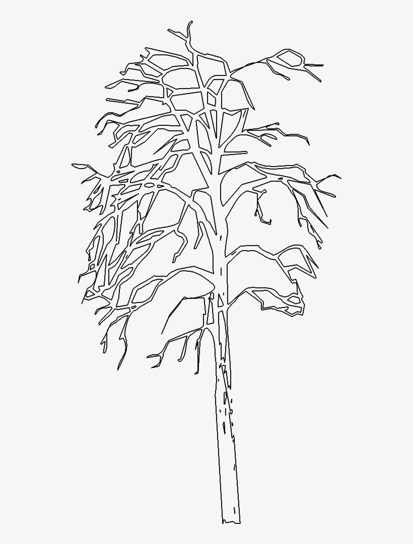 3d Viewview, transparent png #6817653