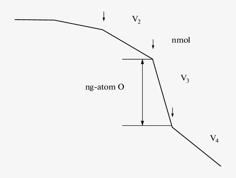 Arrows From Left To Right Indicate Additions To The, transparent png #6818780