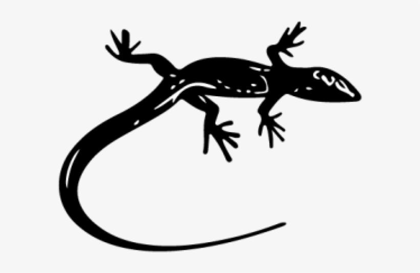 Gecko Clipart Rainforest Lizard, transparent png #6819573