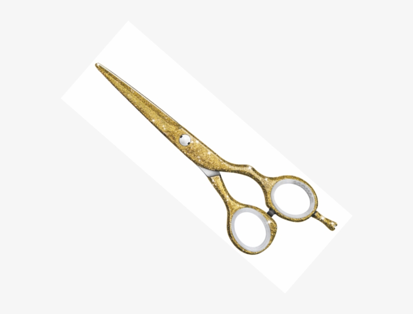 Jaguar, transparent png #6819826