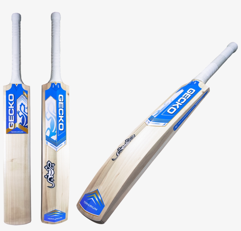 Gecko Terrrarium, transparent png #6819870