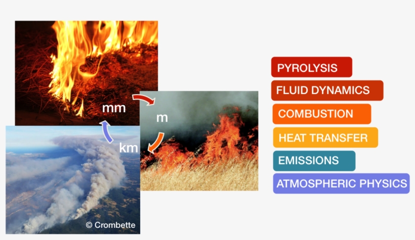Wildland Fire Is A Global Issue For All Climates, From, transparent png #6820563