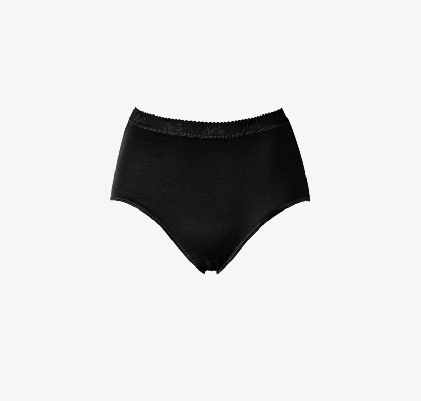 Plus Size Hanna Bikini Panty/brief Black Xl Free Transparent PNG