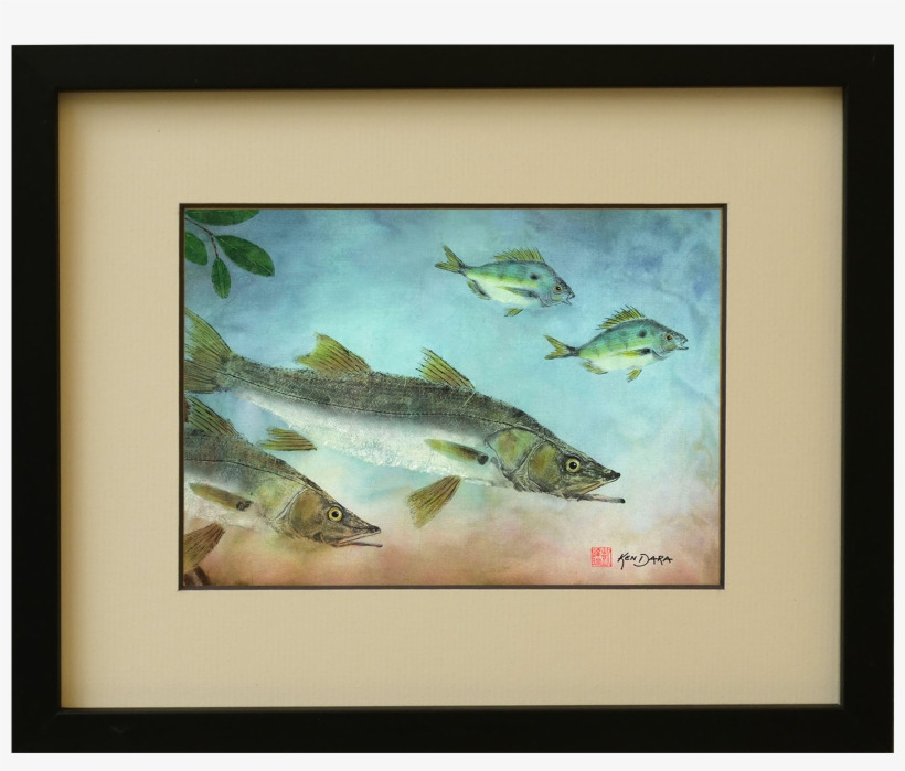 8 X 10 Snook, transparent png #6823536