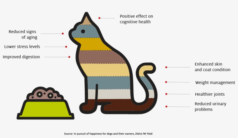Some Behavioral Criteria Used To Assess Dog Food Performance, transparent png #6824201