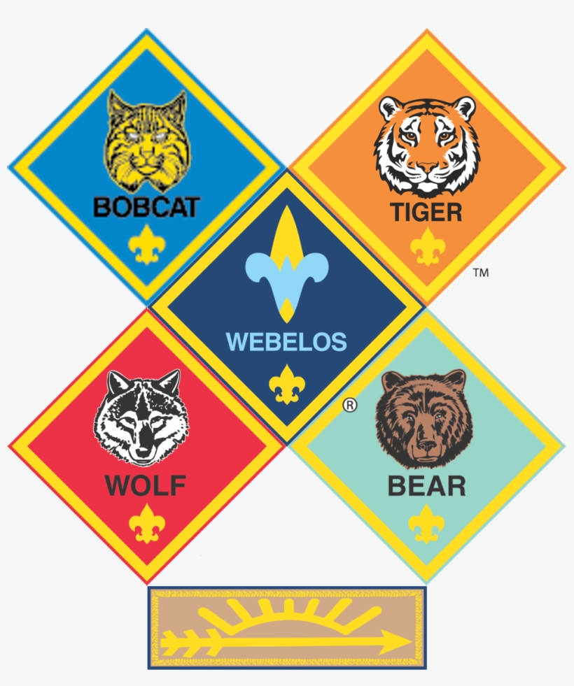 On The Advancement Trail, A Cub Scout Progresses From, transparent png #6827386