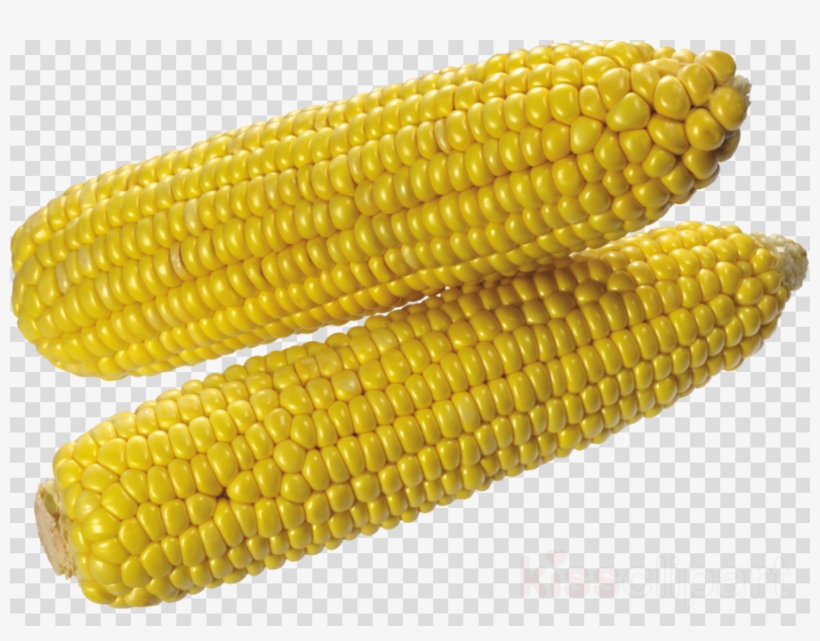 Corn On The Cob Png Clipart Corn On The Cob Flint Corn, transparent png #6829117