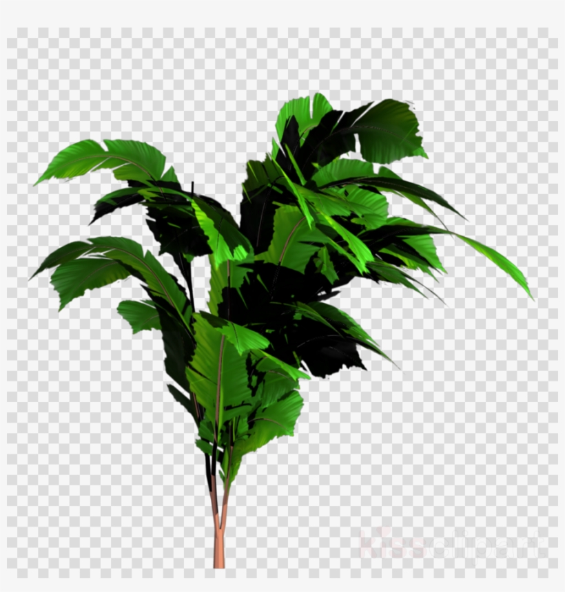 Banana Tree Plan Png Clipart Banana Bread, transparent png #6829920