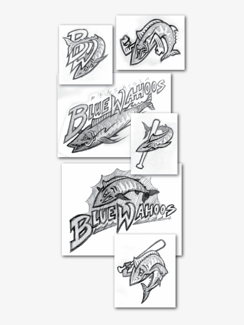 Pensacola Blue Wahoos Concept Sketches, transparent png #6835050
