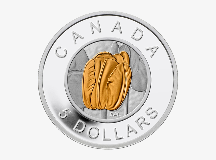 Fine Silver Coin With Niobium Colouring, transparent png #6838800