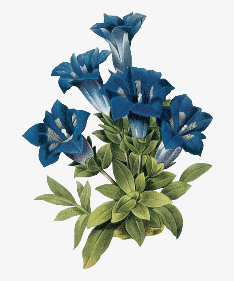 Leaves Png Green Kpopedit Edits Edit Overlay Blue Flowe, transparent png #6839335