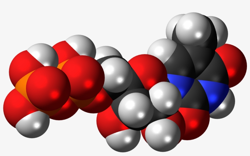 Ribothymidine Diphosphate 3d Spacefill, transparent png #6840045