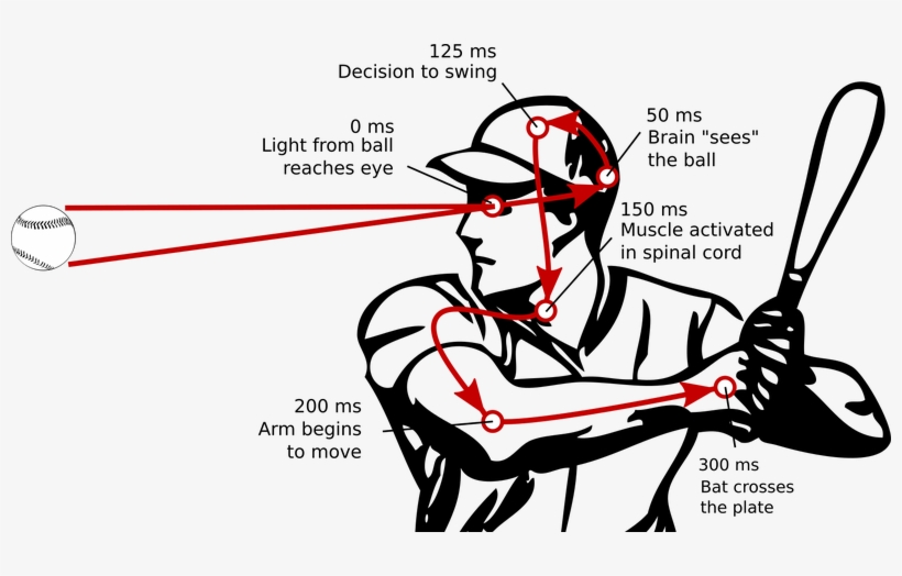 Baseball Flying Through The Air Png, transparent png #6842702