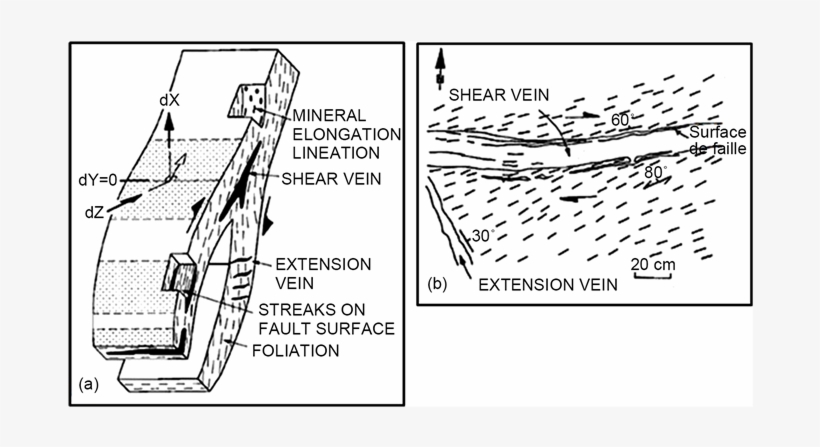 Geometrical Relations Between Shear-zones And Quartz, transparent png #6843870