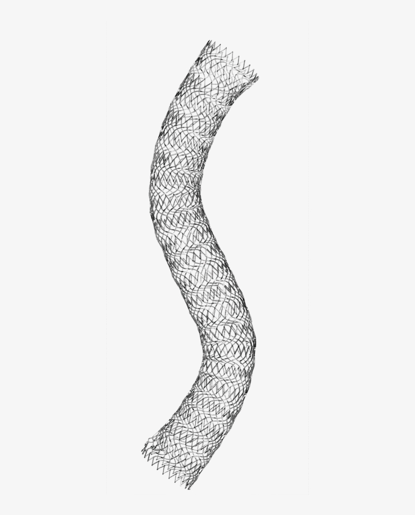 Vici Venous Stent®, transparent png #6844233