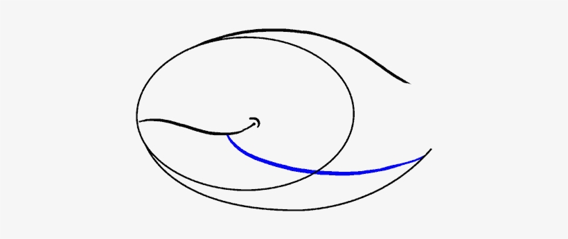 How To Draw Whale, transparent png #6844908