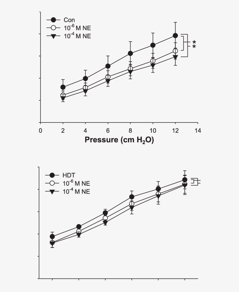 Pressure-diameter Responses After Exposure To Ne In, transparent png #6844915