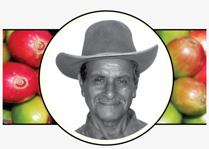 Ccr Tomas Image-01, transparent png #6846603