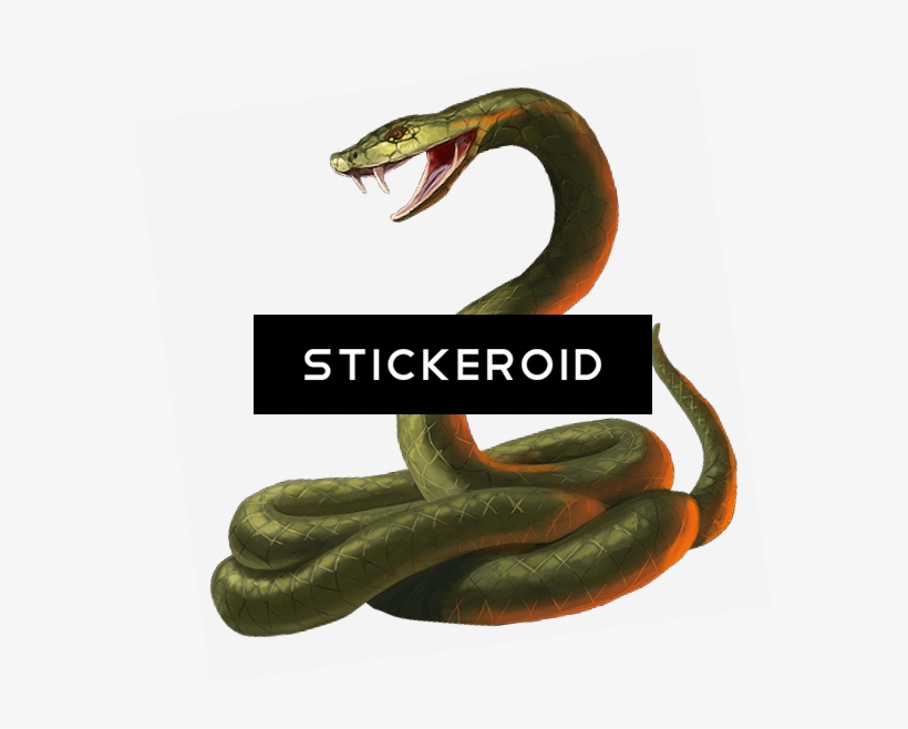 Cobra Snake Head, transparent png #6847540