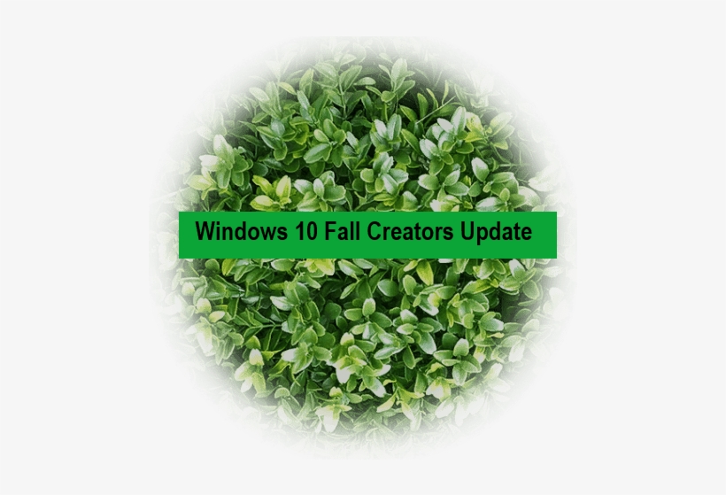 Windows 10 Black Screen With Cursor Free Transparent PNG Download