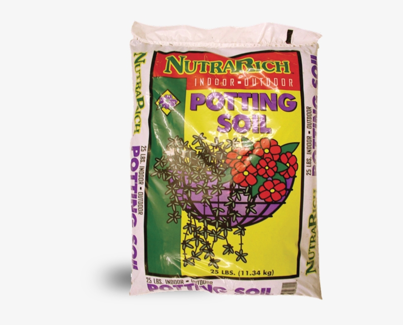 Outdoor Potted Plants Png, transparent png #6851104