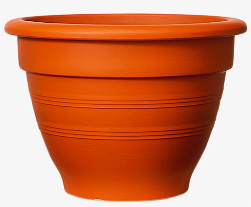 Plant Pot, transparent png #6851274