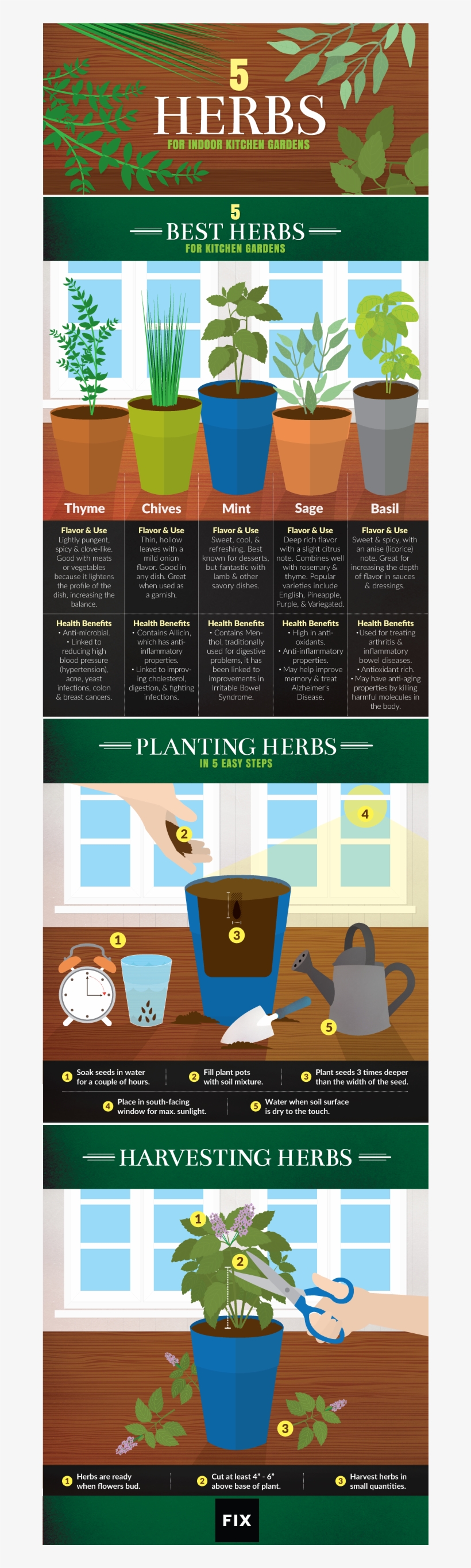 Outdoor Potted Plants Png, transparent png #6851450