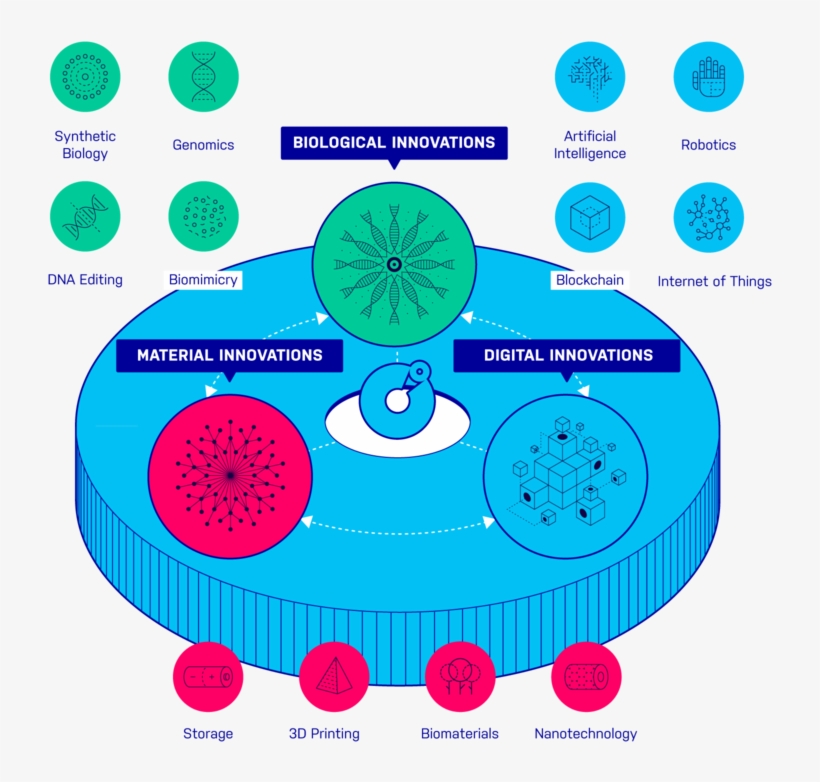 Fir Radical Innovations Color V2 Fourth Industrial, transparent png #6851502