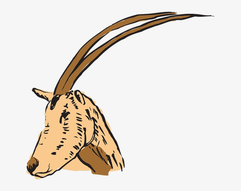 Cuernos En Antilope Clipart Antelope Horn Clip Art, transparent png #6851505