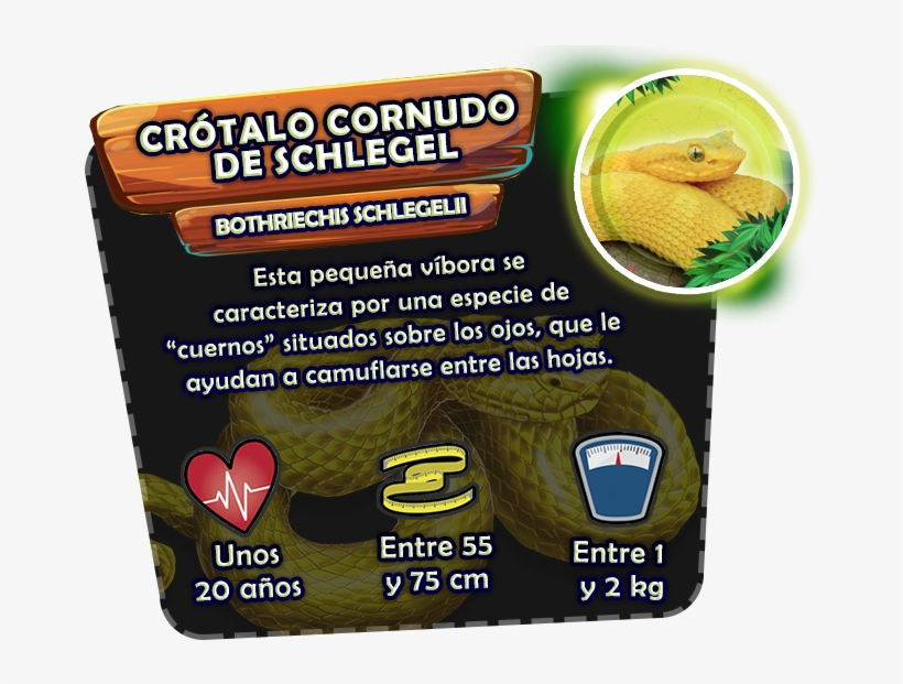 9, transparent png #6852181