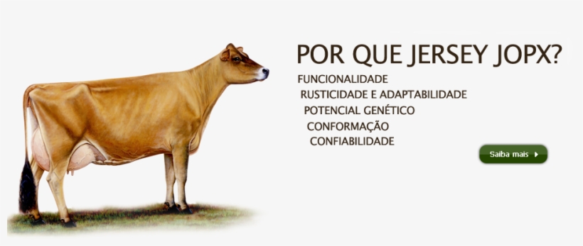 Fazenda Ipiranga, transparent png #6854924