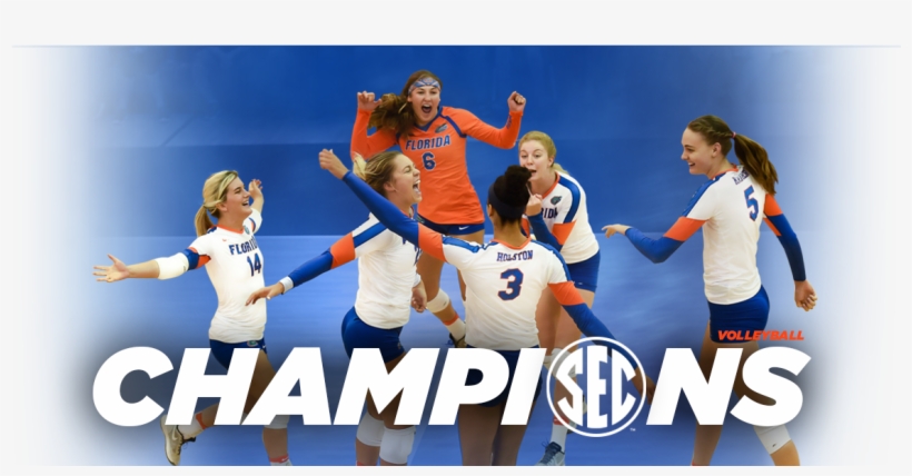 Pop-up View Separately, transparent png #6855490