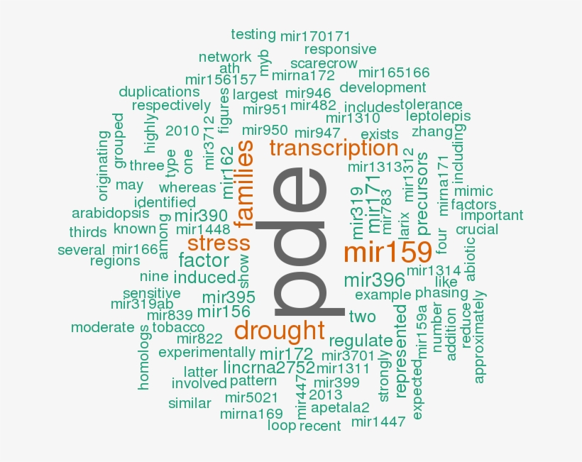 Stem Loop Sequence Ptc Mir169u, transparent png #6860221