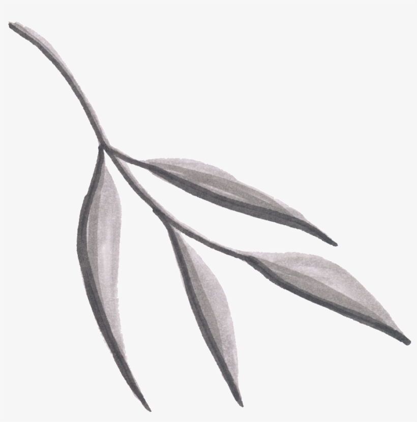 Hojas De Png Transparente, transparent png #6862078
