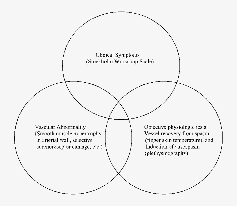 Venn Diagram Conceptualizing The Overlap Of The Physiological, transparent png #6865325