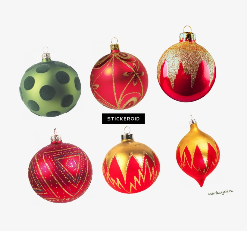 Palm Tree, transparent png #6865687