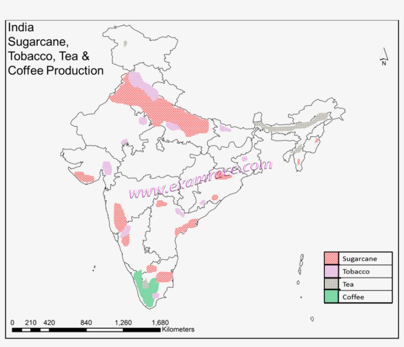 India Sugarcane Tobacco, Tea And Coffee Production, transparent png #6866456