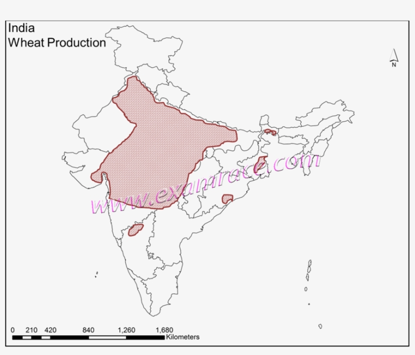 India Vegetation Youtube Lecture Handouts- Translation, transparent png #6866738