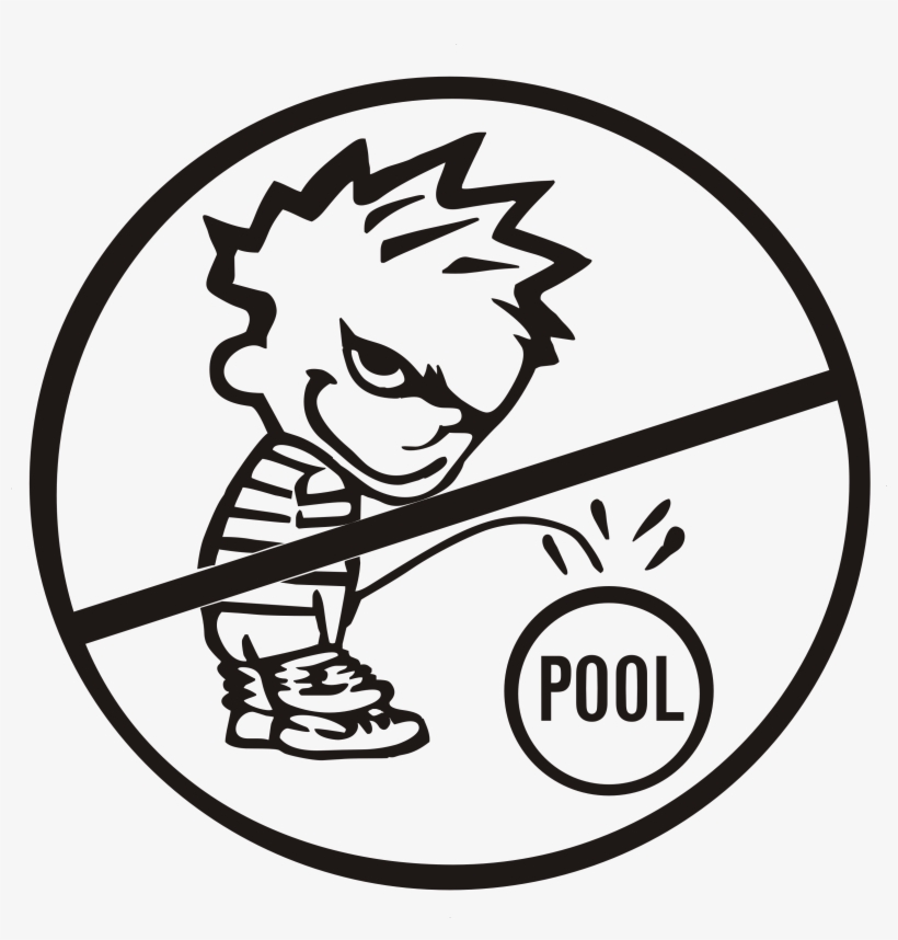 Peeon29 -, transparent png #6867561