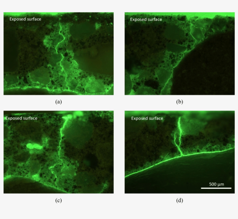 Fluorescence Microscopy Images Showing Example Microcracks, transparent png #6867569