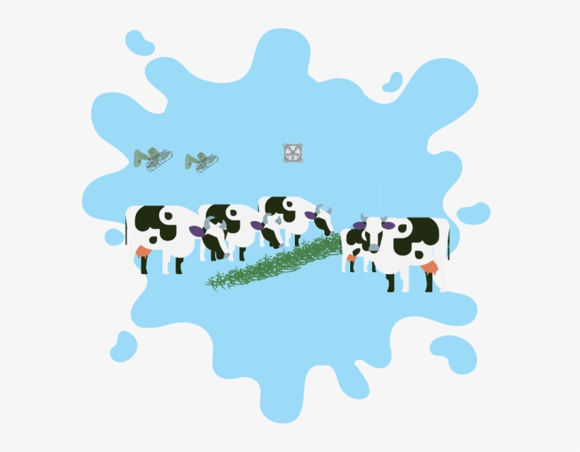 Quality Milk From Well-treated Cows, transparent png #6868696