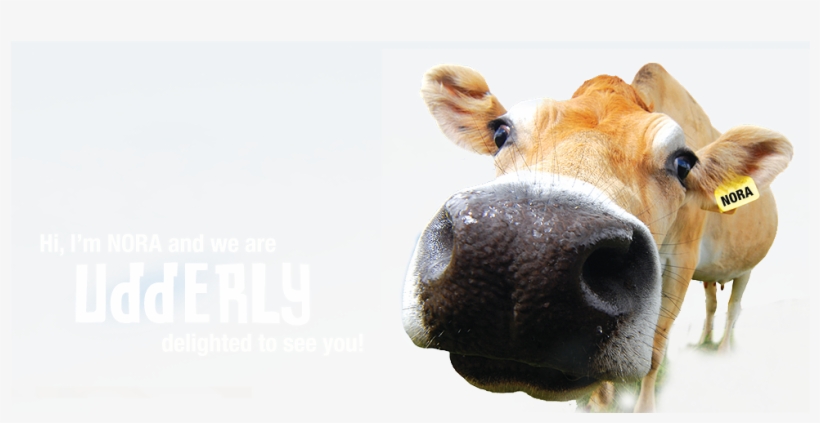 About Us, transparent png #6869542